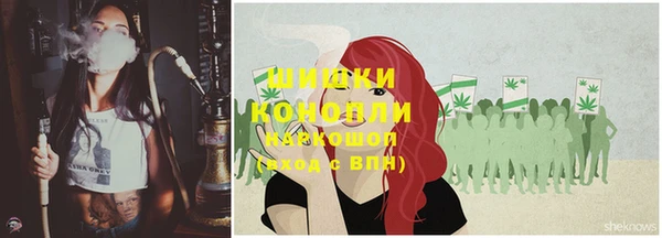 мдпв Краснослободск