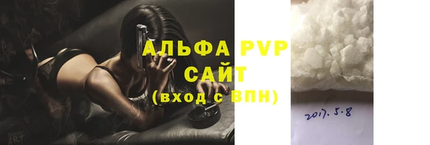 мдпв Краснослободск