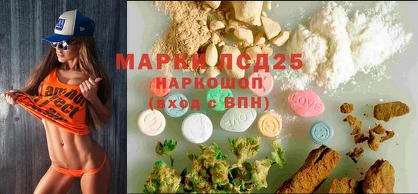 мдпв Краснослободск