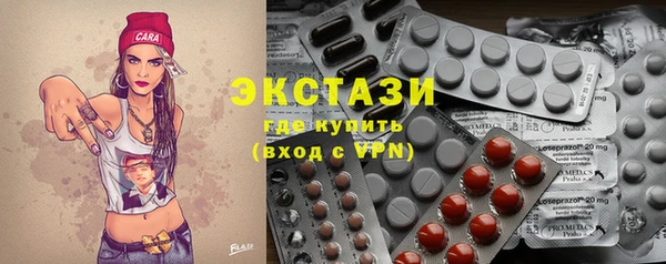 мдпв Краснослободск