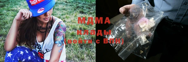 мдпв Краснослободск